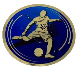 Вставки для медалей и кубков УФ печать, Серия ВН-12 футбол