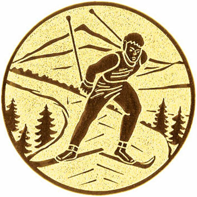 Вставки для медалей и кубков, Серия B-S134 лыжи