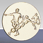 Вставки для медалей и кубков, Серия B173 футбол