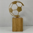 Награда Футбол ПМС101,01